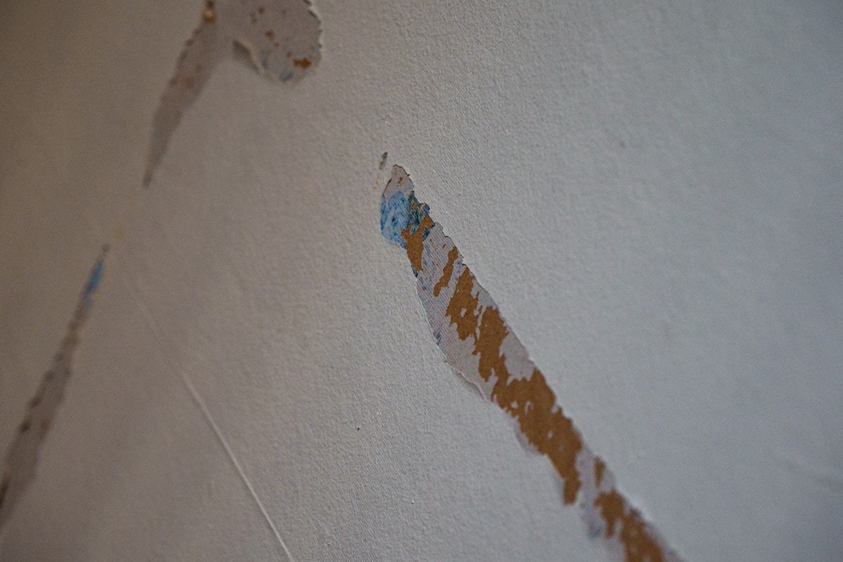 Flood Cleanup service in Glenview, IL